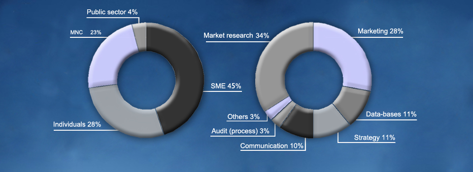 daxueconsulting-market-research-china-en (6)