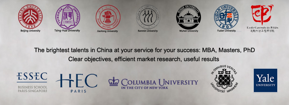 daxueconsulting-market-research-china-en (7)